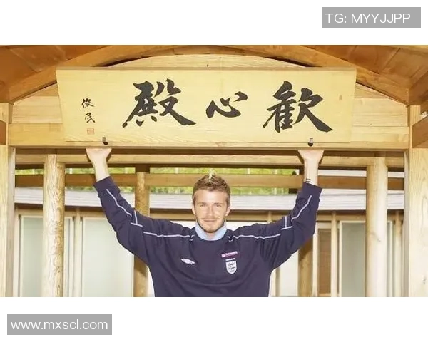 总裁在绿茵场上的辉煌历程与不懈追求梦想的传奇故事